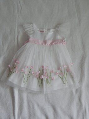 Biscotti Floral Ruffle Lace Dress - Girl 18M
